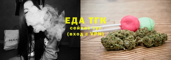 индика Белокуриха